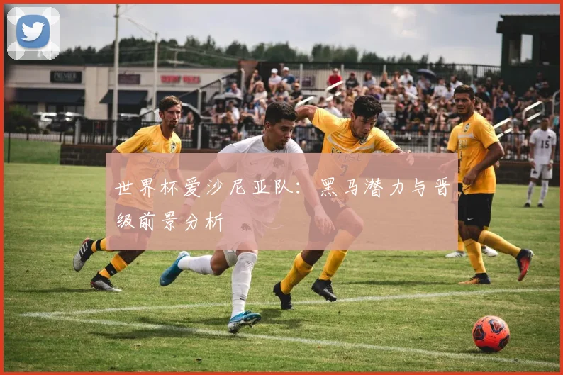 世界杯爱沙尼亚队：黑马潜力与晋级前景分析