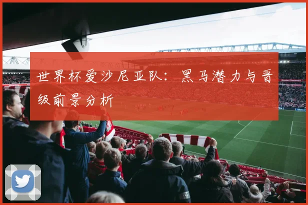 世界杯爱沙尼亚队:黑马潜力与晋级前景分析